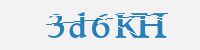보안문자